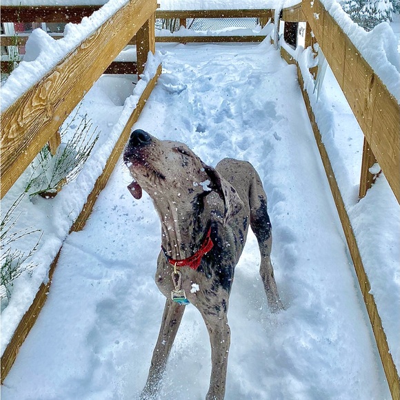 Hello! If you are here, thank you for checking out my page. I appreciate you! 🧡 - Picture 16 of 16